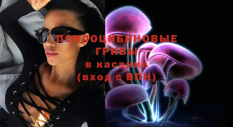 Псилоцибиновые грибы Magic Shrooms  Лесосибирск 